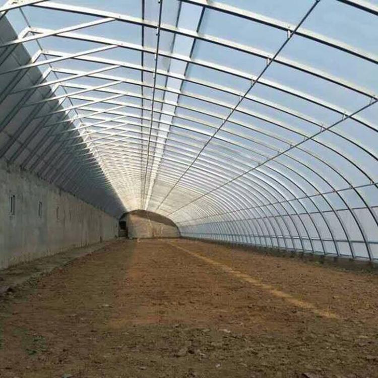 青州温室建造全指南:从选型到造价,看懂温室工程的每个环节