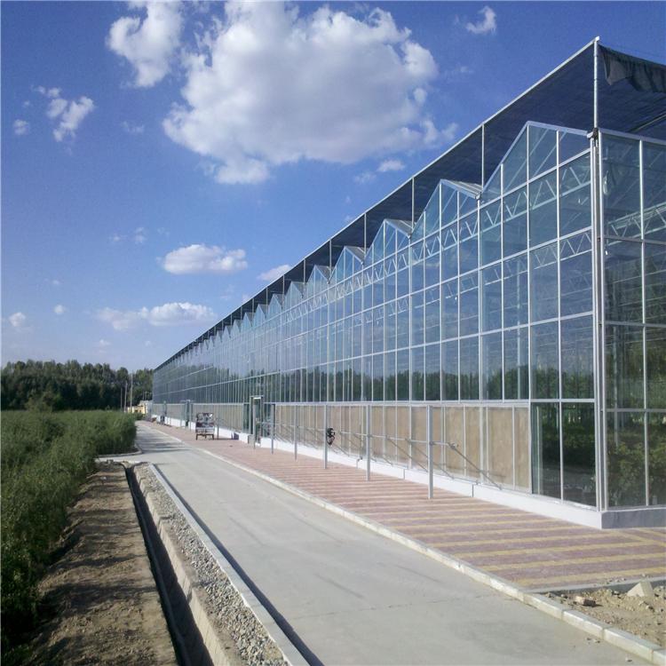 青州温室建造全指南:从大棚类型到造价控制的实用干货